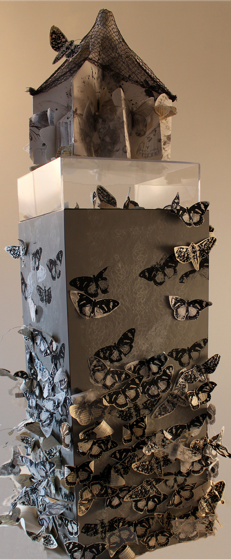 Tasch_1_TheButterflyEffect