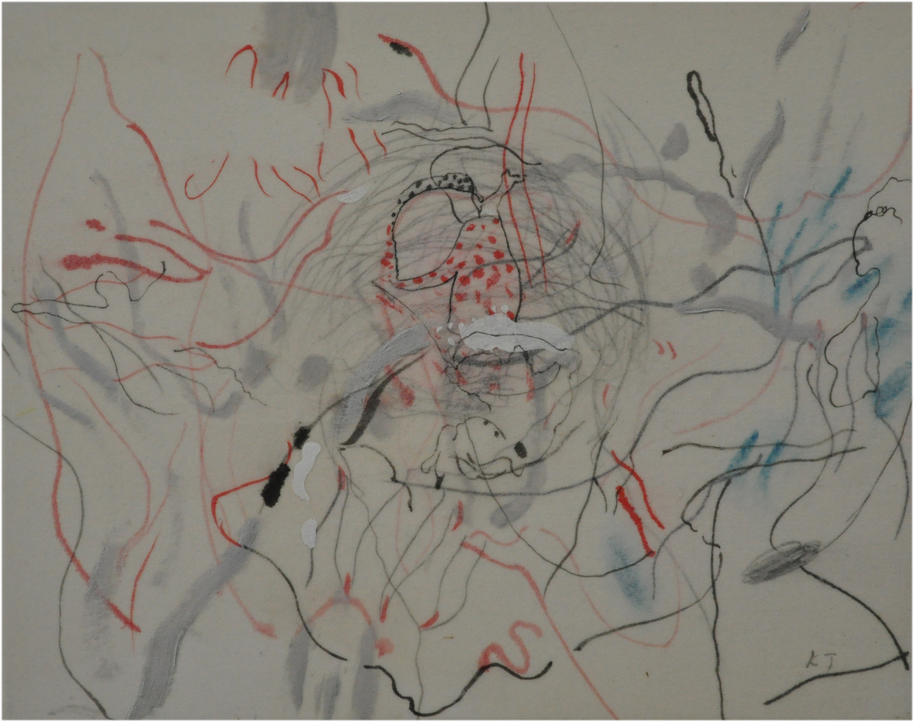 Terada_05_Observation of NATURE 14-01010005